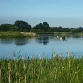 Staveley Nature Reserve to release an appeal for fund to expand facilities.