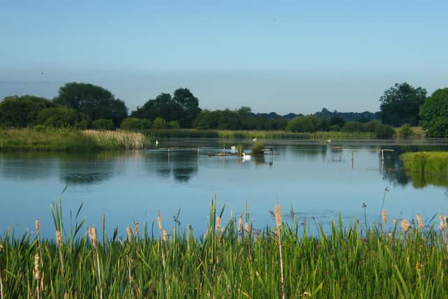 Staveley Nature Reserve to release an appeal for fund to expand facilities.