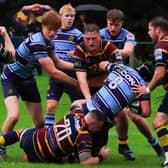 Ripon RUFC's away success at Roundhegians means that they gave now won seven of their 11 Yorkshire Two matches so far this term and sit fifth in the table heading towards the Christmas break. Picture: Mandy Errington