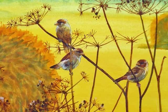 Part of a painting of cornfield sparrows by artist and illustrator Ray Mutimer which will feature in his new exhibition during Feva arts festival in Knaresborough from August 11-20. (Picture Ray Mutimer)