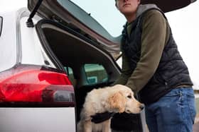 A new report has found that over 20,000 dogs have been stolen in the UK between 2014 and 2024.