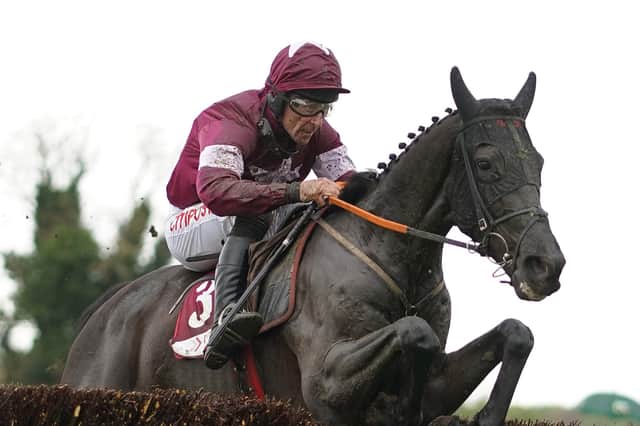 Delta Work is fancied by Jeff Garlick for the 2023 Grand National. Picture: Alan Crowhurst/Getty Images