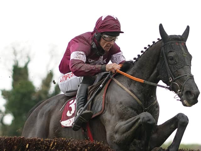 Delta Work is fancied by Jeff Garlick for the 2023 Grand National. Picture: Alan Crowhurst/Getty Images
