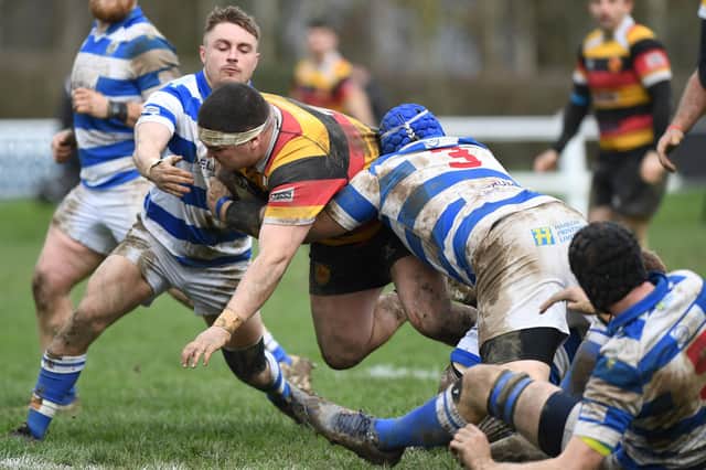 Harrogate RUFC's Jacob Percival is halted by a trio of Tynedale players during Saturday's National Two North clash at Rudding Lane. Pictures: Gerard Binks