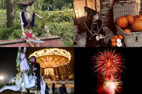 The ultimate guide to the seasons festivities during the half-term holidays in the Nidderdale and Ripon area.