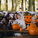 Pumpking Carving at North Yorkshire Water Park
