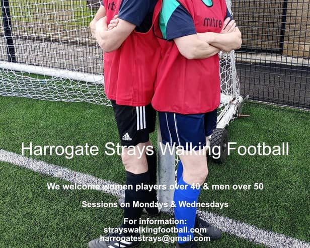 Harrogate Strays are Recruiting
