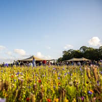 Popular pick-your-own flower farm between Harrogate and Ripon seeks permission to extend opening season