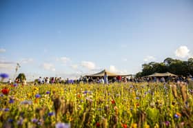 Plans to extend the opening of The Flower Belt, a pick-your-own flower farm between Harrogate and Ripon, have received support from members of the public despite the venue breaching planning rules during its first season
