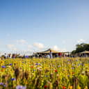 Plans to extend the opening of The Flower Belt, a pick-your-own flower farm between Harrogate and Ripon, have received support from members of the public despite the venue breaching planning rules during its first season