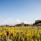 Plans to extend the opening of The Flower Belt, a pick-your-own flower farm between Harrogate and Ripon, have received support from members of the public despite the venue breaching planning rules during its first season