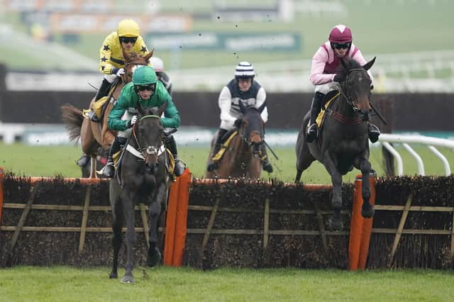 Galahad Quest, right, in action during a previous outing at Cheltenham Racecourse. Picture: Alan Crowhurst/Getty Images