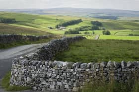 Millions of pounds has been awarded to North Yorkshire Council for a project that will use research to identify the causes of health inequalities across the county.