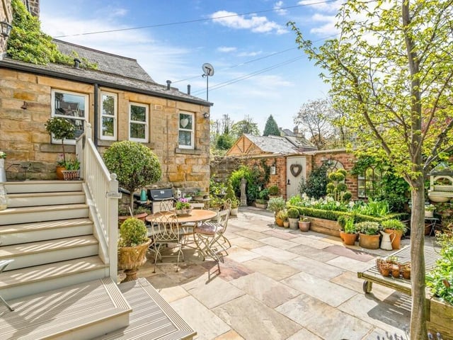 A delightful courtyard garden with plants, trees and shrubs.