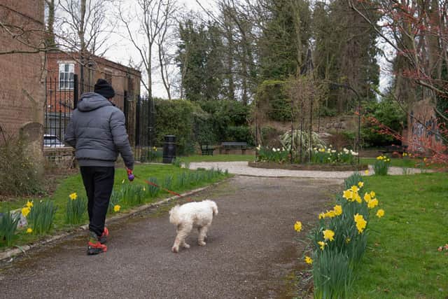 A dog walker passes through the renovated Temple Gardens in Ripon