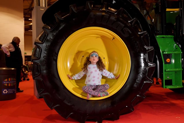 Lilian Clarkson, aged 6, from Harrogate pictured in a giant Tractor Wheel.