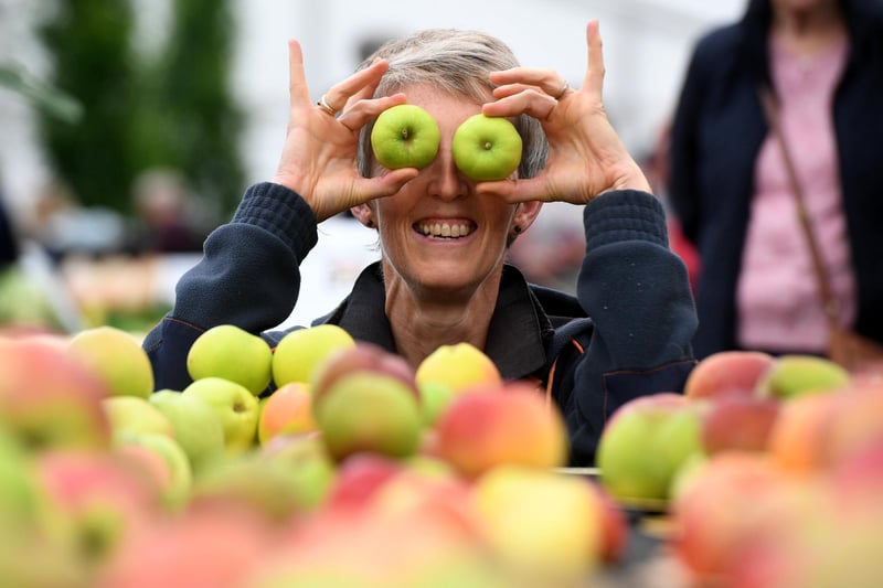 Sally Jones checking out the apples on display in the Incredible Edible Pavilion