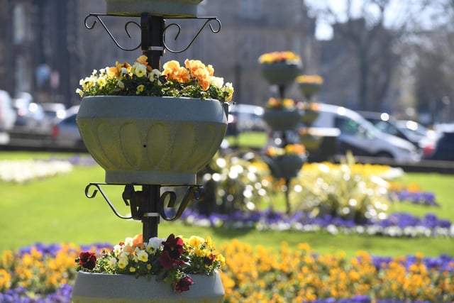 The beautiful flower beds and planters in full bloom on West Park in Harrogate