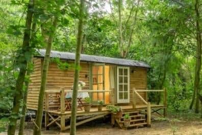 North Yorkshire Council has refused a plan to build 18 holiday cabins in a woodland near Knaresborough
