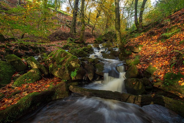 Autumn colours of Peckett Well Clough above Hebden Bridge. Thank you for viewing our gallery. If you have enjoyed this, please consider following us on Instagram where we share much more of our photographers' work. www.instagram.com/theyorkshirepost/