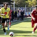 Miles Welch-Hayes in action for Harrogate Town against Crawley. Picture: Craig Galloway