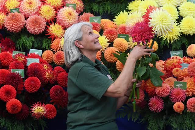The Harrogate Autumn Flower Show will return to Newby Hall this September