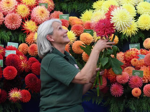 The Harrogate Autumn Flower Show will return to Newby Hall this September
