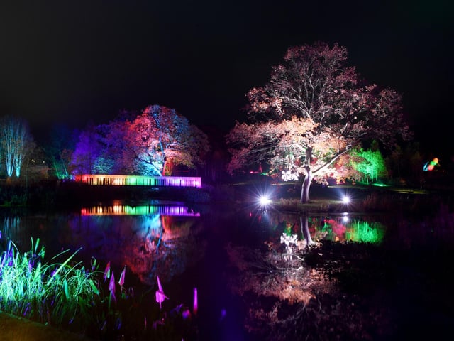 Winter illuminations have returned to RHS Harlow Carr.