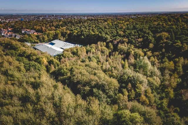 Pinewoods Conservation Group's draft observations suggest concerns remain about Harrogate Spring Water's bid to expand to meet consumer demand. (Picture contributed)