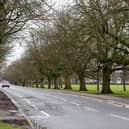 North Yorkshire Council is assessing the feedback from public consultation about proposals to use part of £1.465 million in Government funding to tackle traffic congestion by changing traffic arrangements in the Oatlands Drive area of Harrogate. (Picture Gerard Binks)