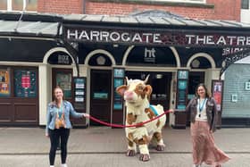 As part of its fundraising efforts in its 125th birthday year,  Harrogate Theatre is inviting people to take part in a fun-filled pantomime horse race at Ripon Racecourse this summer. (Picture contributed)