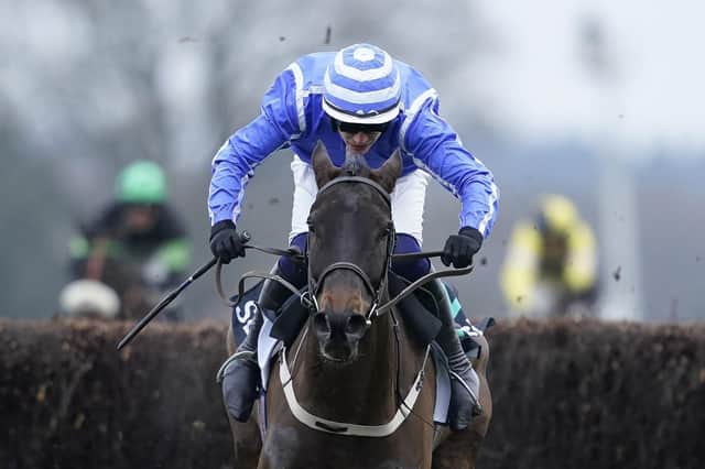 Energumene is one of the horses fancied by Jeff Garlick on day two of the Cheltenham Festival. Picture: Alan Crowhurst/Getty Images