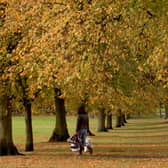 A shopper walks along the Stray in Harrogate underneath autumnal trees