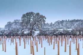 Long Lands Common in the snow at Harrogate/Knaresborough. (Picture Long Lands Common)