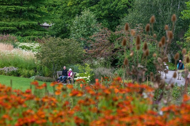 Find specially designed gardens reflecting the Yorkshire landscape with trails, a log maze and tea rooms at RHS Garden Harlow Carr.