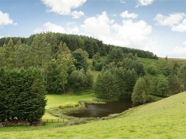 The grounds include woodland, and a stream with waterfalls that feeds a scenic pond.