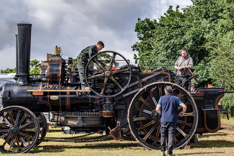 Traction engines  at Masham Steam Rally