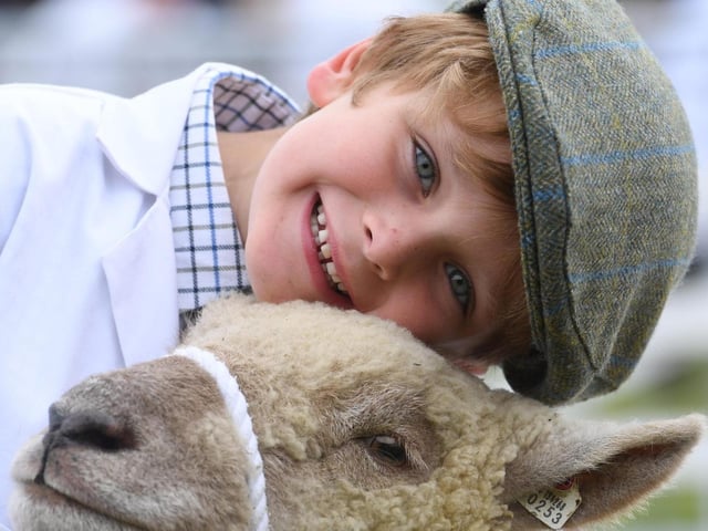 Oliver Whitham (aged six) with his Southdown sheep on the final day of competition at the show