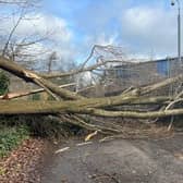 The Harrogate District was among one of the worst affected areas during Storm Otto according to North Yorkshire Police