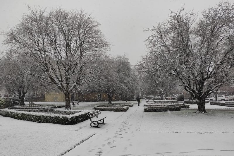 Harrogate looking beautiful covered in a blanket of snow