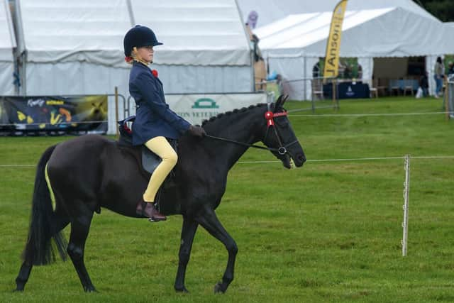 The ultimate guide to Pateley Show day.