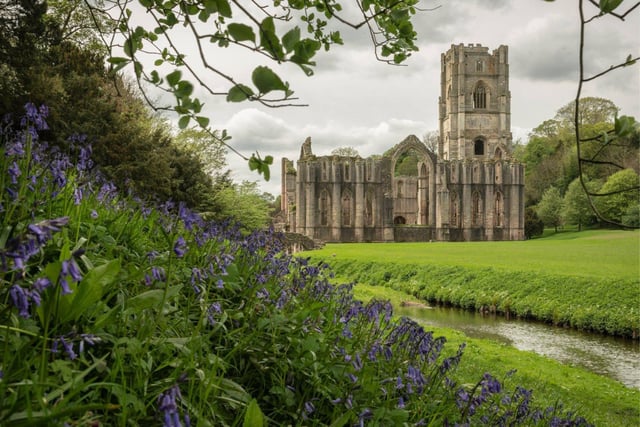 Fountains Abbey is located just outside Ripon, and is open everyday from 10pm-4pm. The Abbey is one of the largest and best preserved ruined Cistercian monasteries in England.