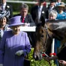 Queen Elizabeth II with her horse, Estimate, who won the Queen's Vase during Royal Ascot in June 2012. Picture: Alan Crowhurst/Getty Images