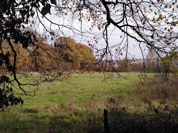 Site of a beautiful future - More than £25,000 has been pledged in less than a week for an exciting new campaign to create a Knaresborough Forest Park.