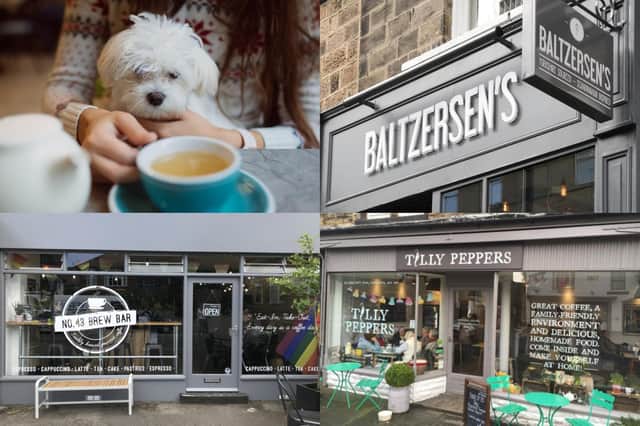 We take a look at 12 of the best dog friendly cafes to visit in the Harrogate district according to Google Reviews