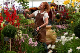 The much-loved Harrogate Autumn Flower Show returns to Newby Hall this weekend