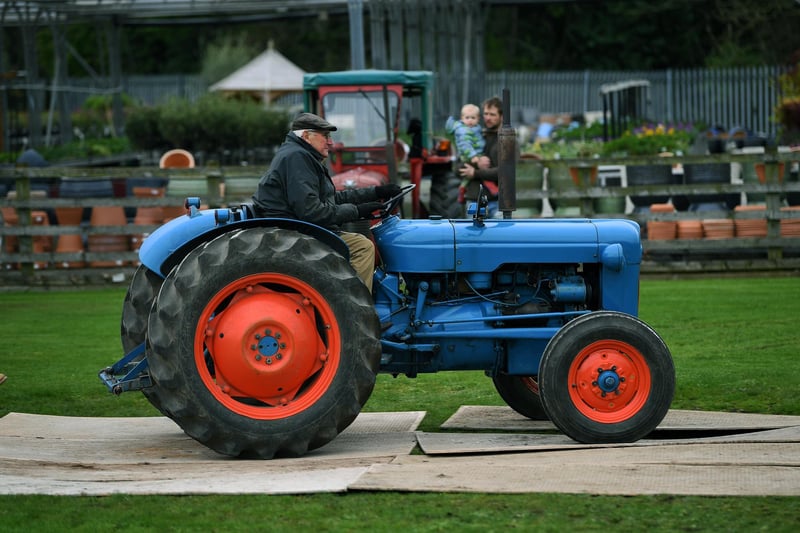 A vintage tractor arriving at Tates Garden Centre in Ripon after its journey around Galphay, Dallowgill Moor and Low Grantley