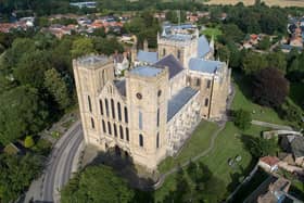 Over 800 people have signed a petition protesting against plans to fell a number of trees at Ripon Cathedral