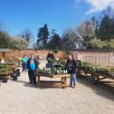 Plant sales at the Victorian Walled Gardens in Ripon help to fund the daily running of the venue