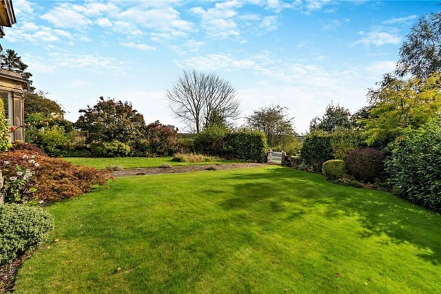 The lawned garden with established borders.